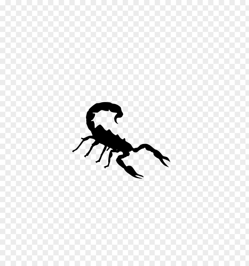 Size Cliparts Scorpion Clip Art PNG