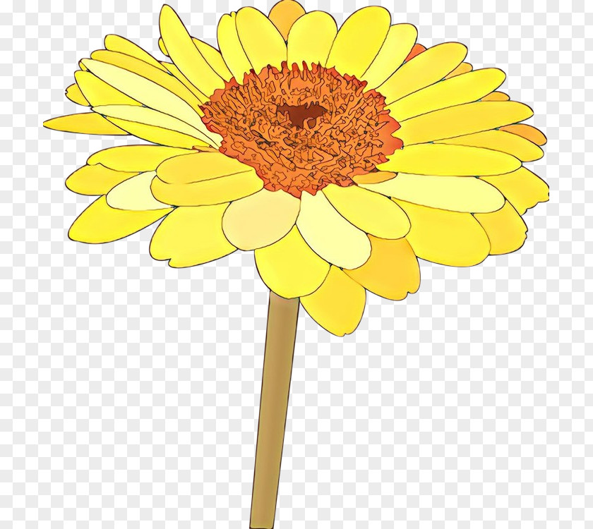 Sunflower English Marigold PNG