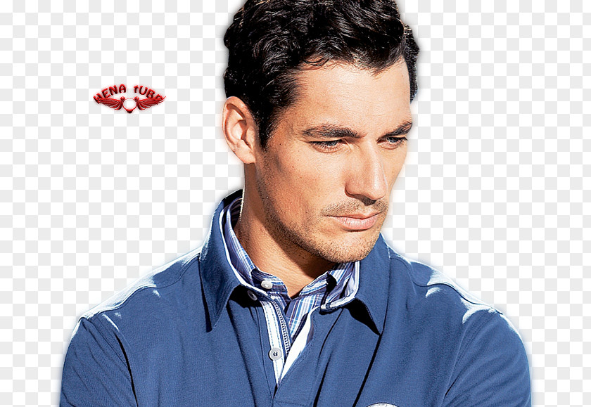 T-shirt David Gandy Desktop Wallpaper PNG