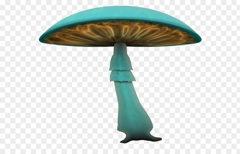 Wonderland Alice's Adventures In Common Mushroom Fungus PNG