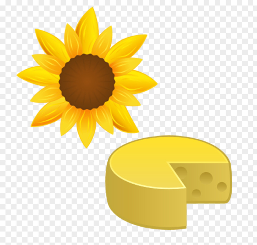 Cartoon Sunflower And Cheese ICO Download Icon PNG