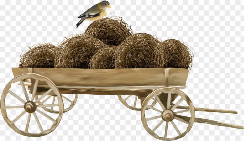 A Car Nest Pumpkin Halloween Autumn PNG