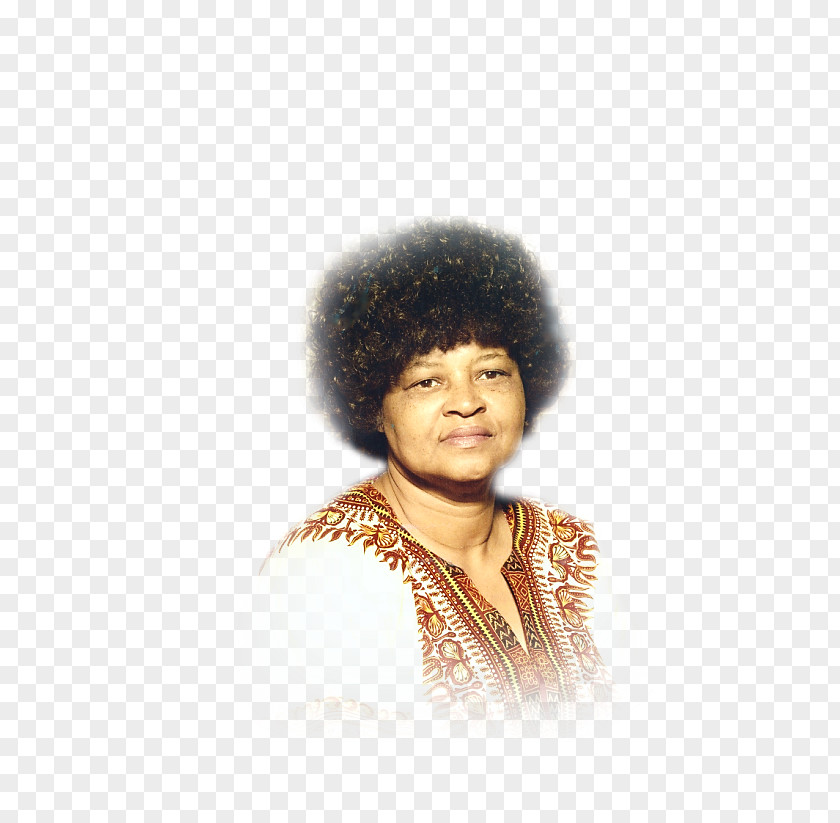 Afro Jheri Curl Headgear Wig Black Hair PNG