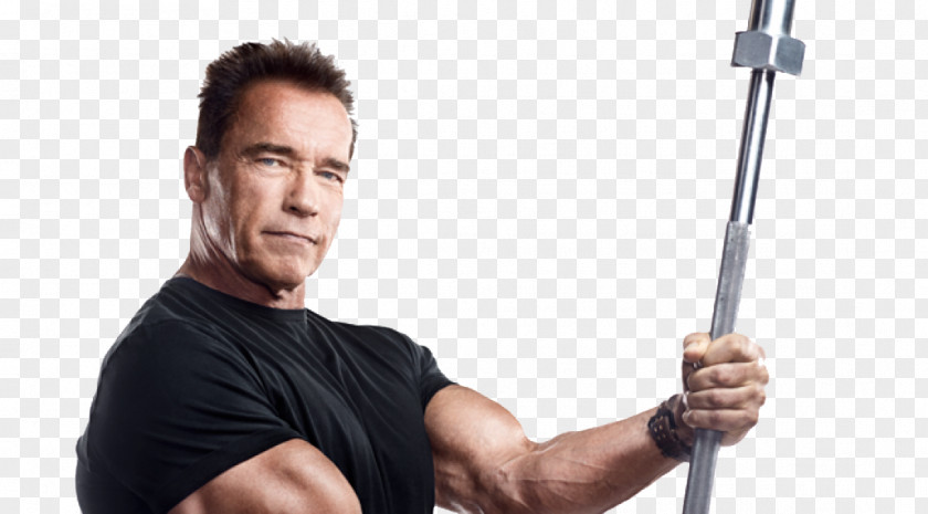 Arnold Schwarzenegger Free Download Physical Exercise Education Of A Bodybuilder Bodybuilding Fitness Centre PNG