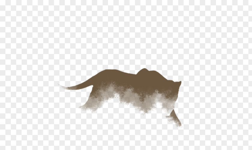 Dog Cat Snout Mammal PNG