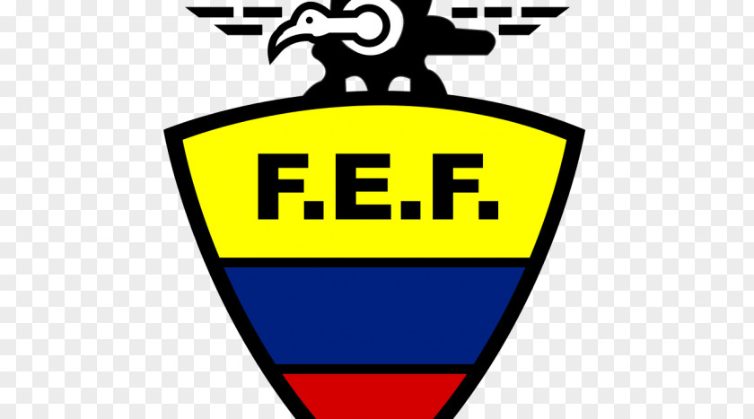Football Ecuador National Team 2014 FIFA World Cup 2018 Ecuadorian Serie A PNG