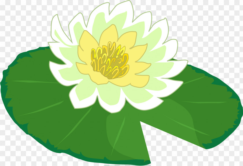 Lily Pad Water Frog Clip Art PNG