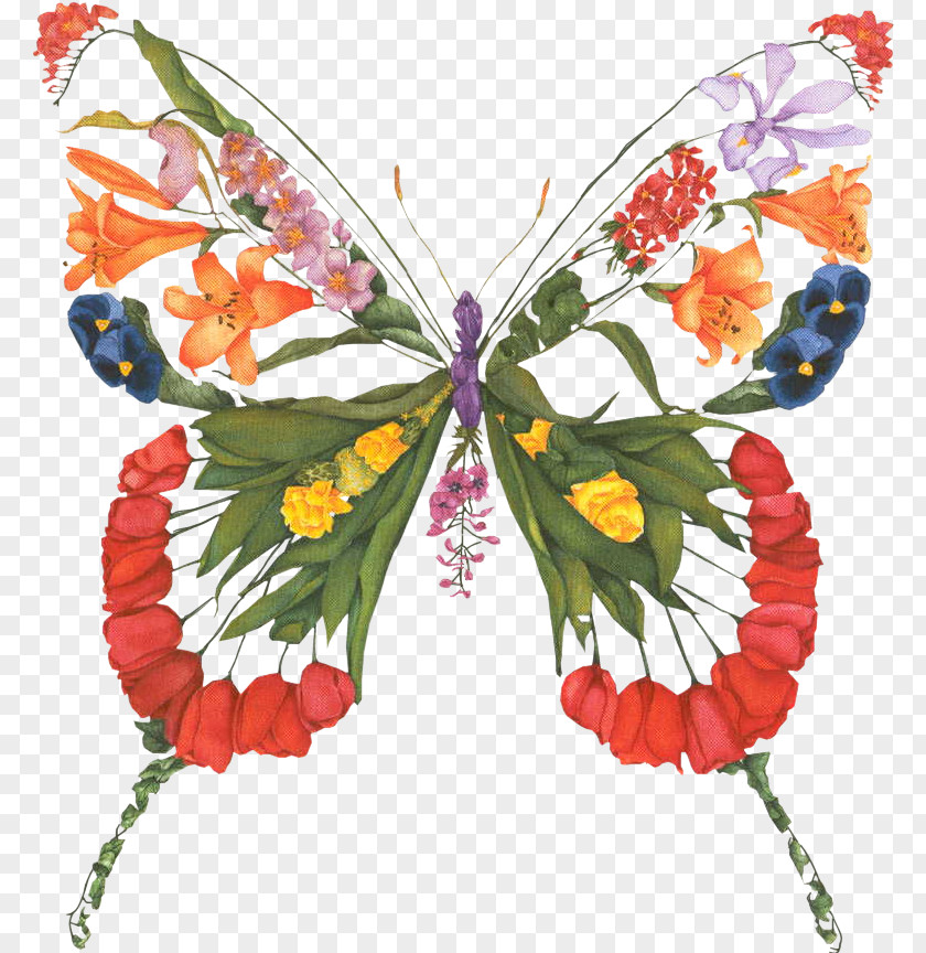 Painting Drawing Graphics Paper Butterfly PNG