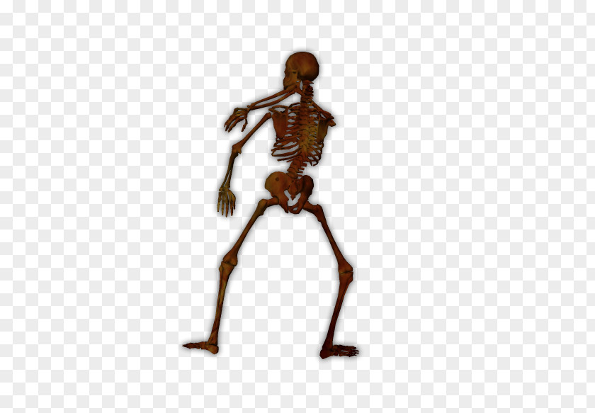 Skeleton Joint Homo Sapiens Figurine PNG