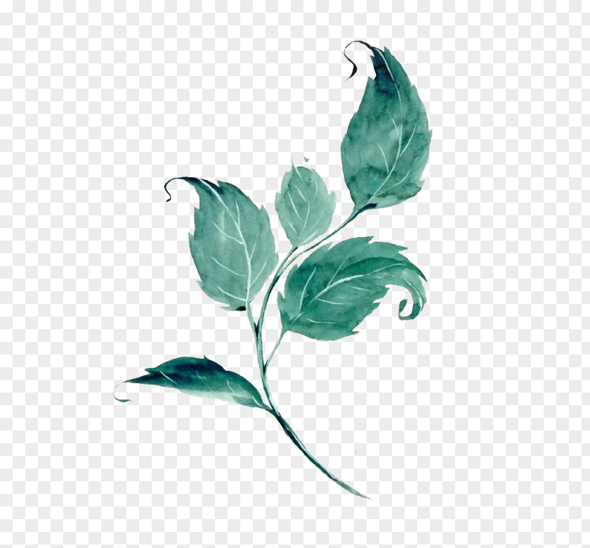 Watercolor Leaves PNG leaves clipart PNG