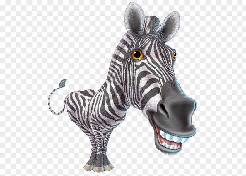 Zebra Cartoon Drawing Clip Art PNG