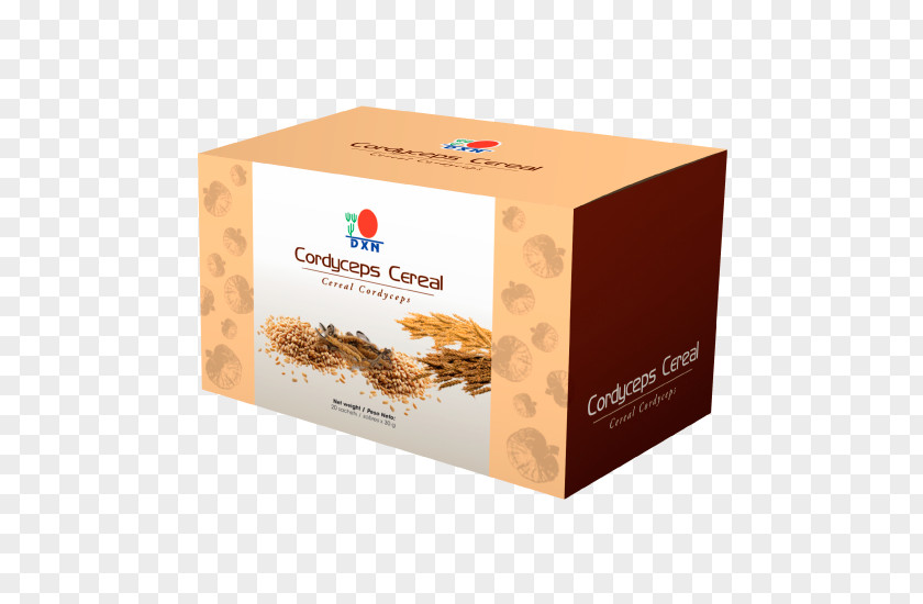 Cordyceps Breakfast Cereal Caterpillar Fungus DXN Lingzhi Mushroom PNG