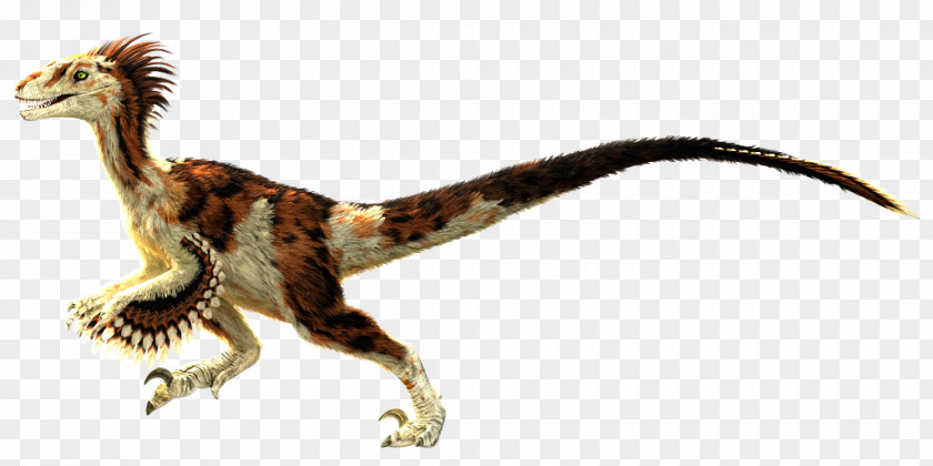 Feather Velociraptor Primal Carnage: Extinction Feathered Dinosaur PNG