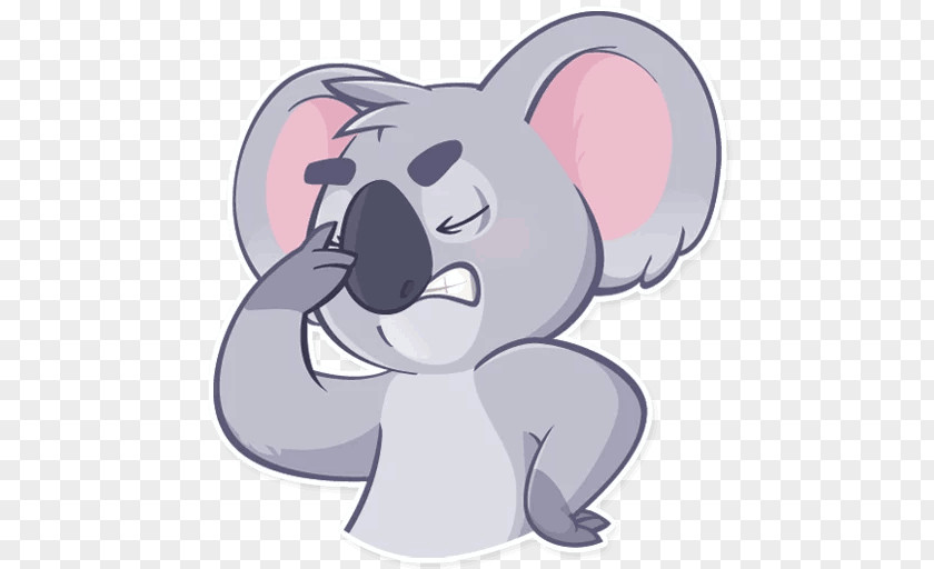 Koala Telegram Sticker Clip Art Marsupial PNG