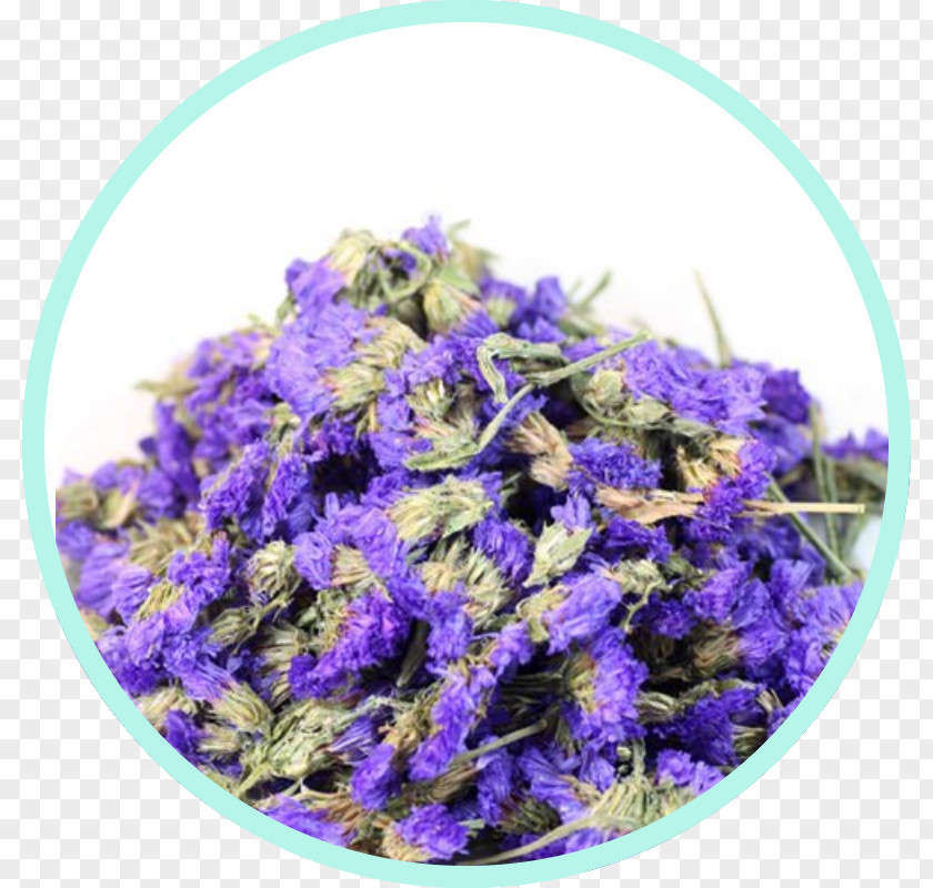 Chamomile English Lavender Flowering Tea Calendula Officinalis PNG