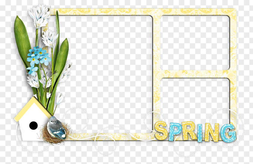 Design Floral Area PNG