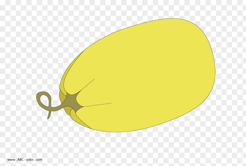 Fruit Muskmelon Drawing Clip Art PNG