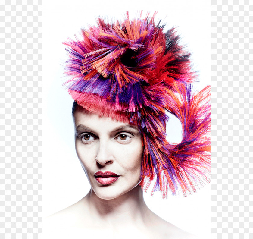 Hair Human Color Coloring Headpiece Eyebrow PNG