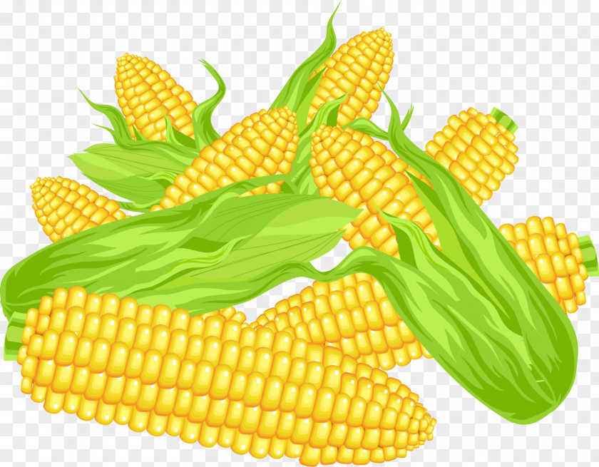 Vegetable Corn On The Cob Vegetarian Cuisine Food Fruit PNG