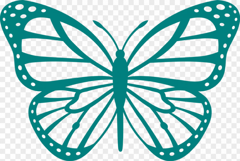 Butterfly Coloring Book Drawing Clip Art PNG