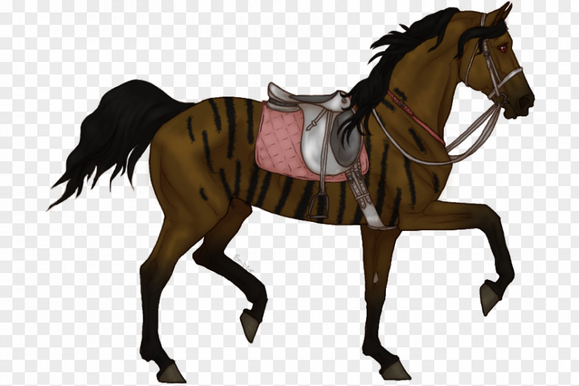 Mustang Appaloosa Mane Pony Morgan Horse PNG