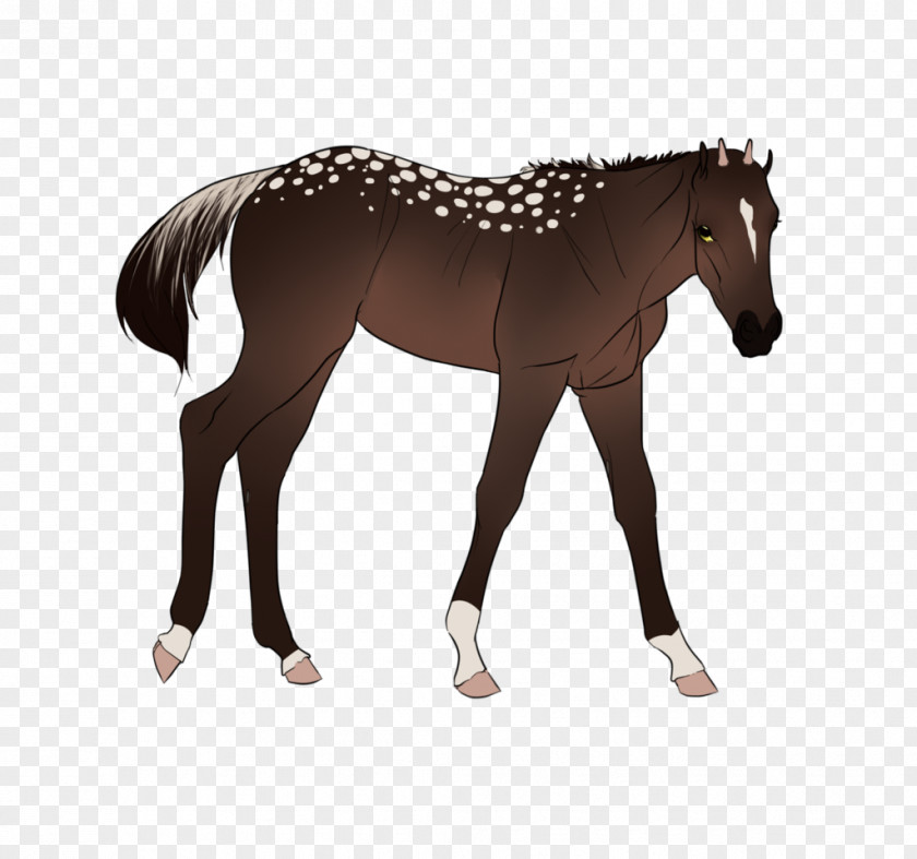 Mustang Mane Stallion Foal Colt PNG