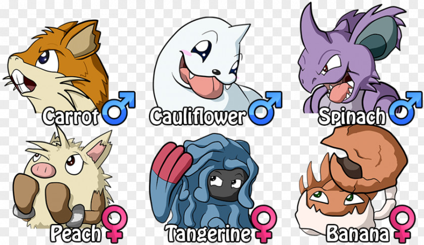 Cat Pokémon HeartGold And SoulSilver Raticate X Y Pokemon Black & White PNG