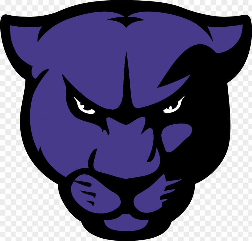 Panther Greenville University Principia College The Spalding MacMurray PNG