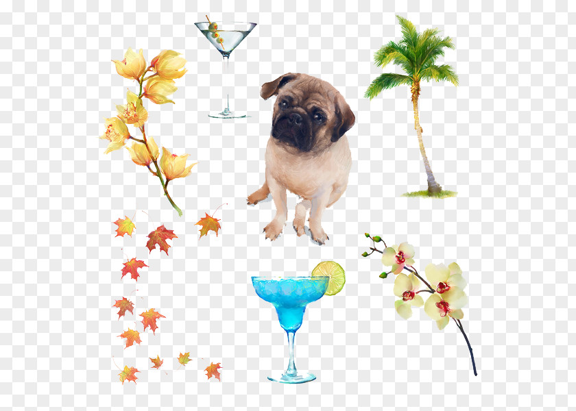 Simple Puppy Flower Illustration Puggle Dog Breed Companion PNG