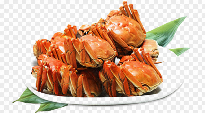 Xinghua Crabs PNG