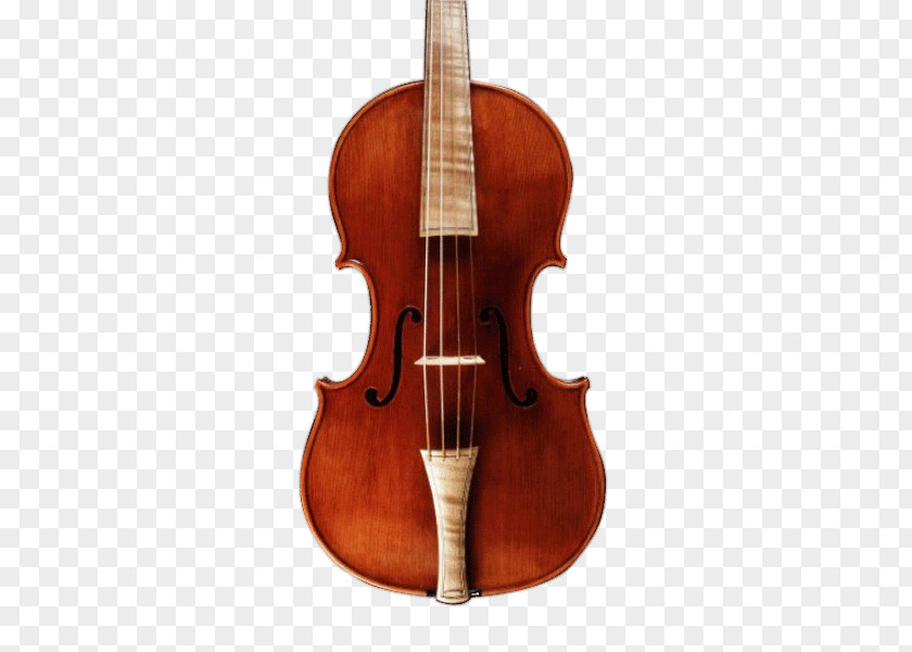 Baroque Instruments Violin Cello String Viola Double Bass PNG