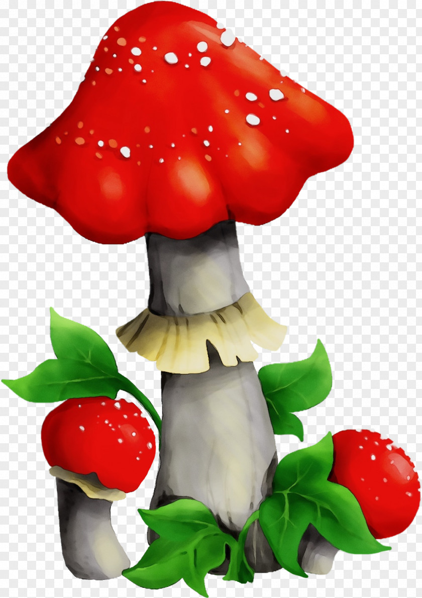 Edible Mushroom Plant Agaric Agaricomycetes Fungus Medicinal PNG