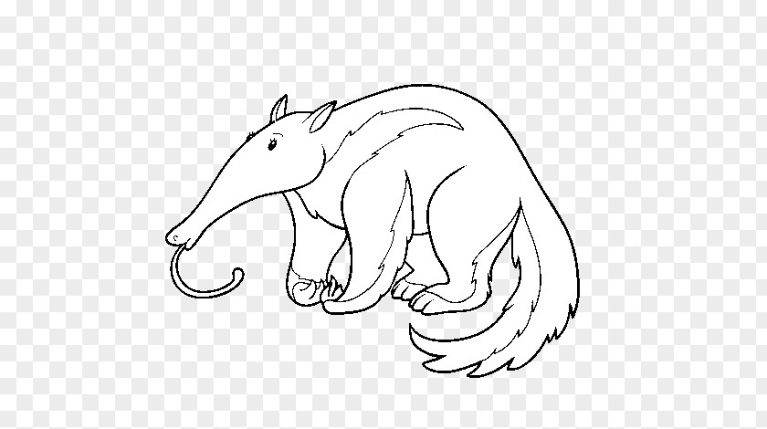 El Oso Hormiguero Gigante Anteater Vector Graphics Illustration Coloring Book Stock Photography PNG