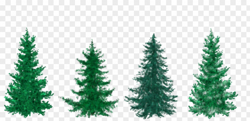 Fir-tree Christmas Tree Pine Fir Clip Art PNG