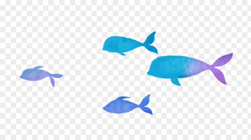 Hand Colored Fish Download PNG