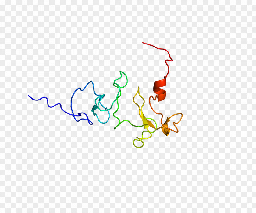 KMT2C Enzyme Protein Methyltransferase Logo PNG