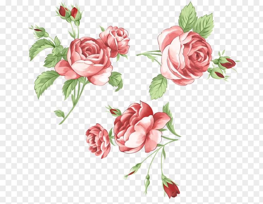 Korean Red Flowers Garden Roses Picture Frames Flower Sticker Clip Art PNG