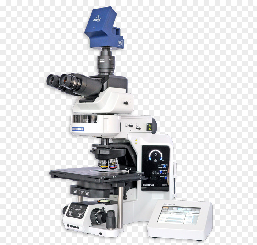 Microscope Fluorescence In Situ Hybridization Comparative Genomic Cytogenetics Metaphase PNG