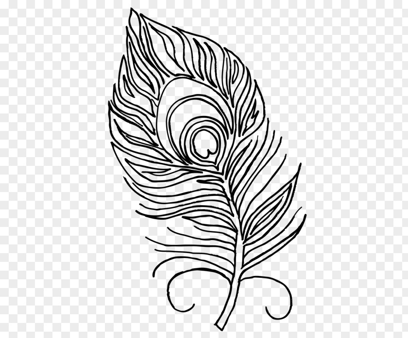 Plant Vascular Feather PNG