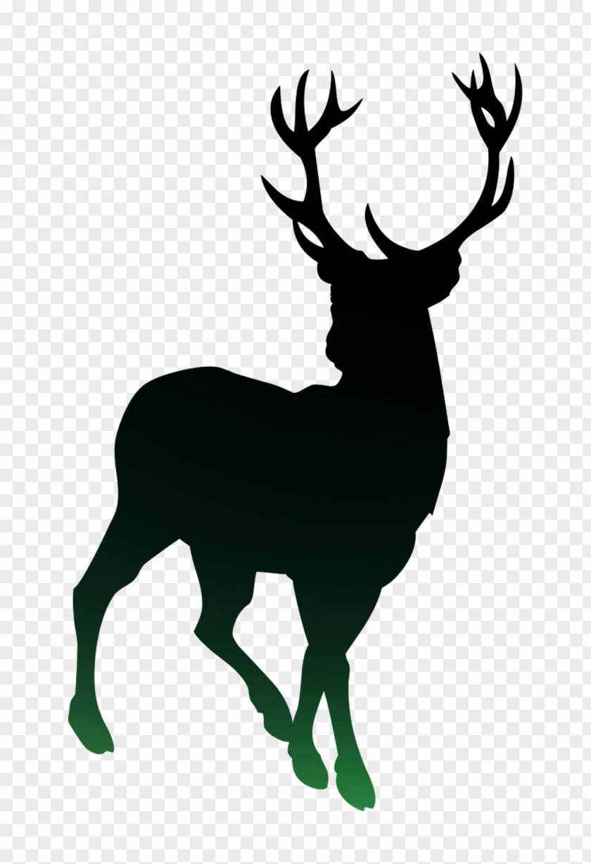 Reindeer Drawing White-tailed Deer Image PNG