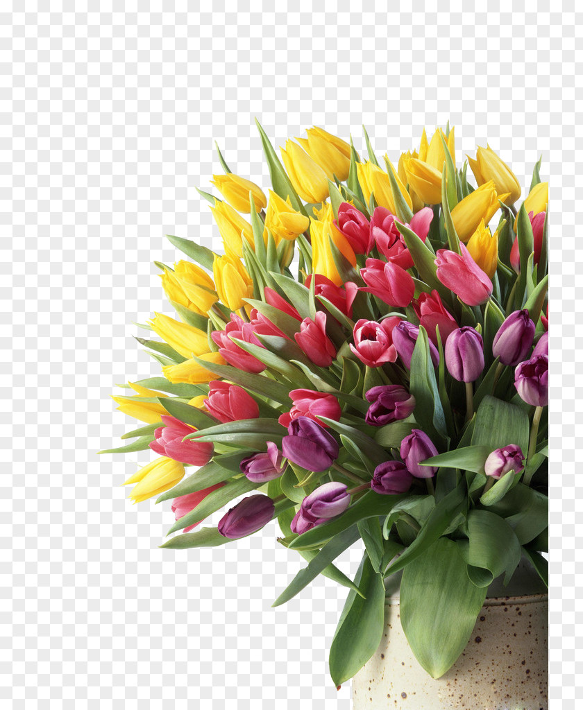 Tulip Heap Flower Bouquet Wallpaper PNG