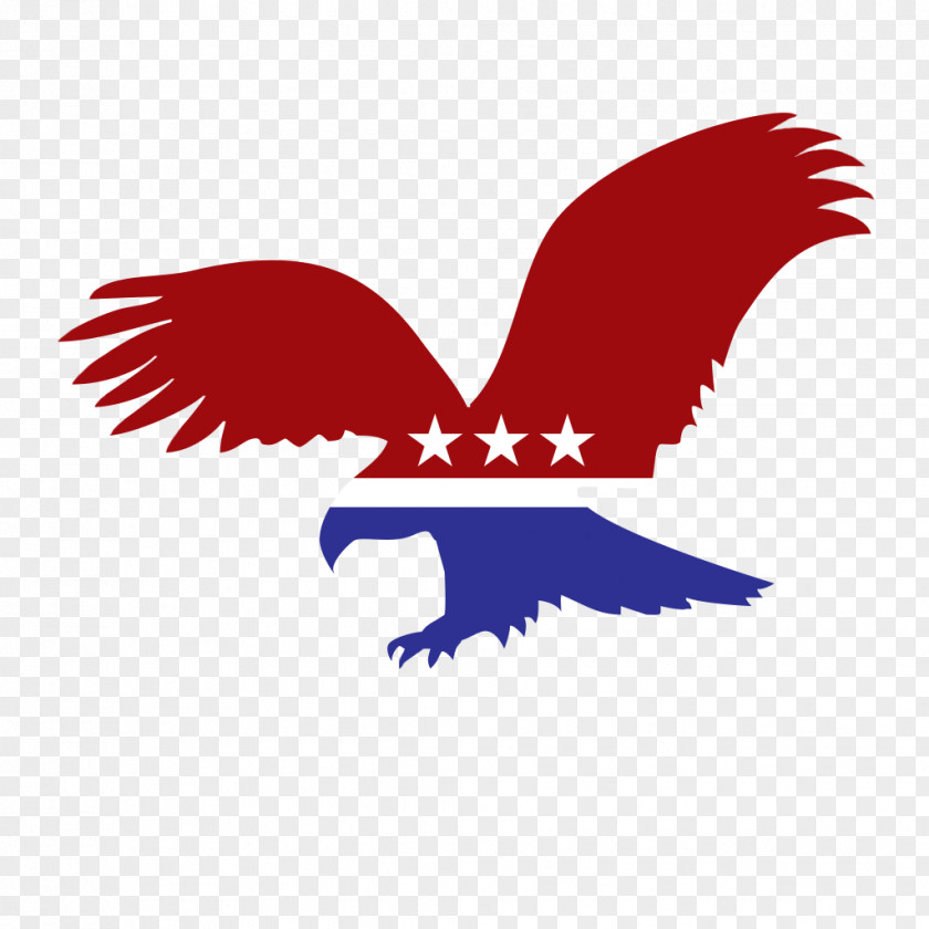 Bird Bald Eagle Silhouette Clip Art PNG