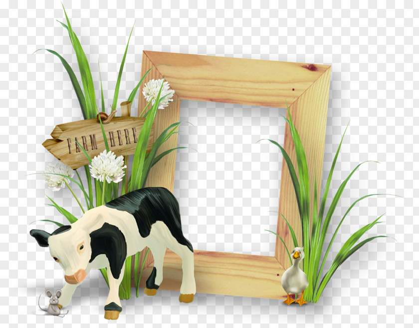 Dog Summer Frame Calming Cattle Picture Frames Image PNG