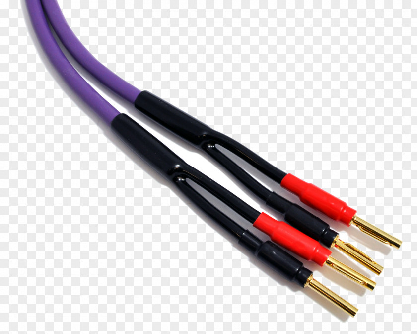 Electric Guitar Coaxial Cable Speaker Wire Electrical Loudspeaker Home Theater Systems PNG