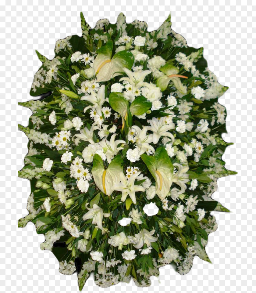 Flower Floral Design Cut Flowers Bouquet PNG