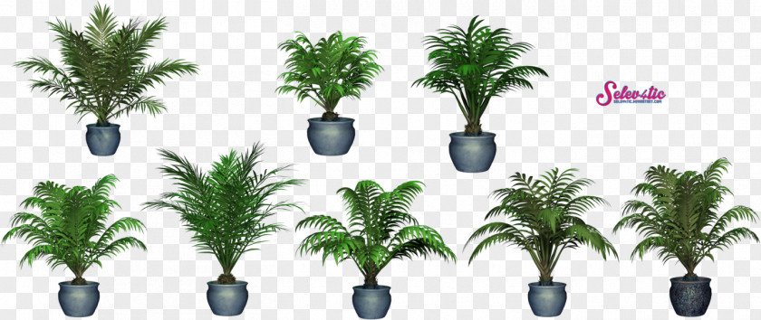 Potted PNG