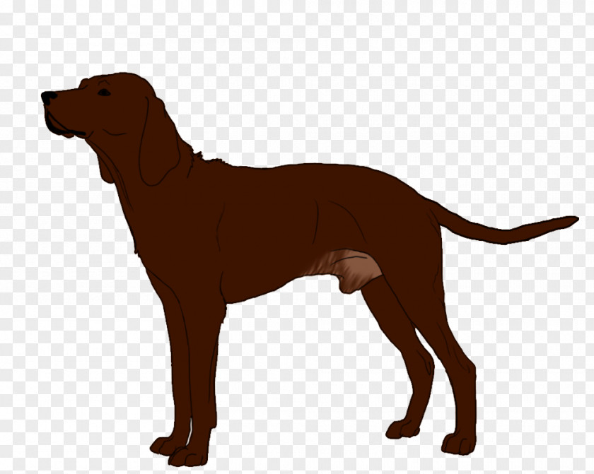 Puppy Redbone Coonhound Labrador Retriever Dog Breed Black And Tan PNG