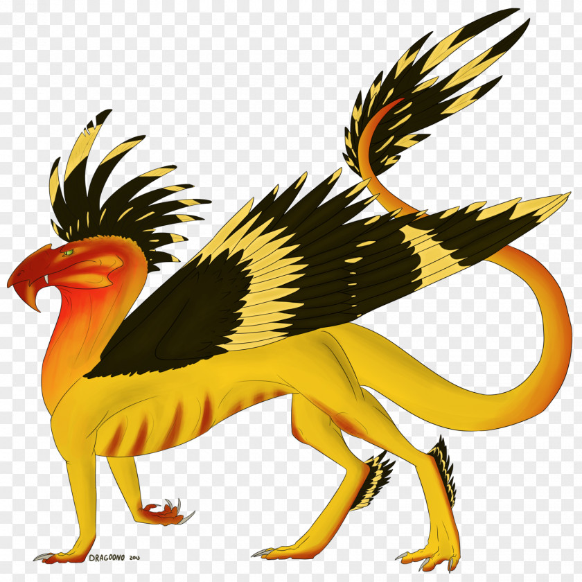 Dragoon Beak Clip Art Illustration Fauna PNG
