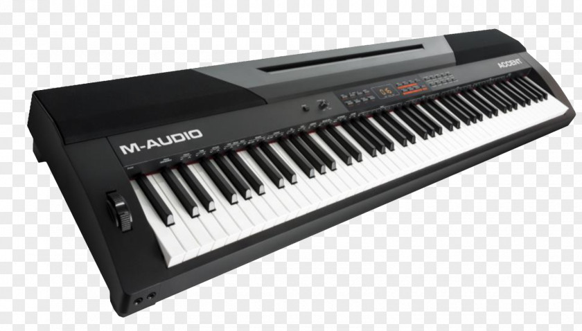 Piano Keyboard M-Audio Digital MIDI Controllers PNG