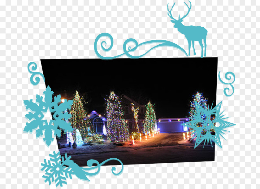 Shia Labeouf Waconia Christmas Lights Holiday PNG